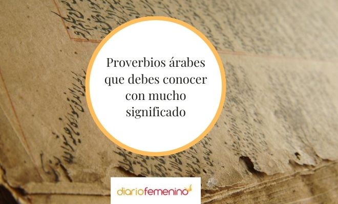 Proverbios Árabes de SUPERACIÓN - 80 Frases de SABIDURÍA 2 proverbios arabes de superacion 80 frases de sabiduria