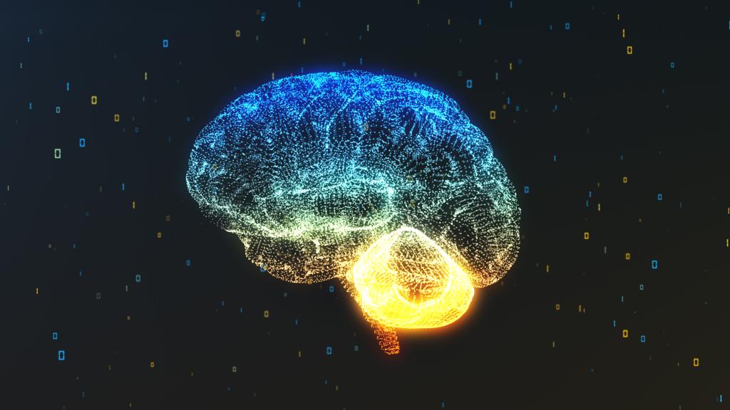PROYECTO BLUE BRAIN: DESCUBRE cómo entendemos el CEREBRO 2 proyecto blue brain descubre como entendemos el cerebro