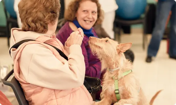 Psicología Animal: Cómo Mejora la Terapia en Madrid 2 psicologia animal como mejora la terapia en madrid