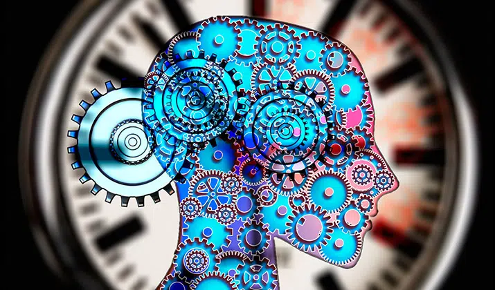 Psicología BÁSICA: Descubre CLAVES para ENTENDER la MENTALES 2 psicologia basica descubre claves para entender la mentales