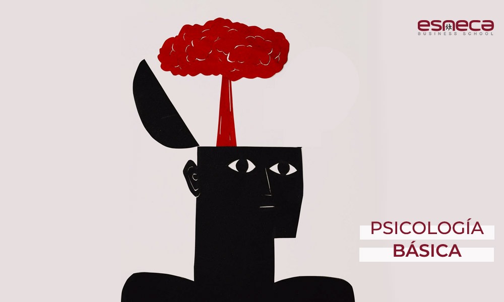 Psicología EXPERIMENTAL: Definición y Guías ESENCIALES 2 psicologia experimental definicion y guias esenciales