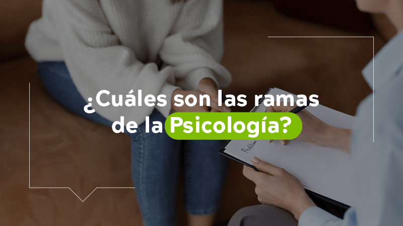 PSICOLOGÍAS: Descubre las 15 RAMAS y CAMPOS Esenciales 2 psicologias descubre las 15 ramas y campos esenciales