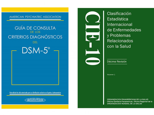 Psicosis CIE 10: Secretos y Claves sobre Trastornos Psicoticos 2 psicosis cie 10 secretos y claves sobre trastornos psicoticos