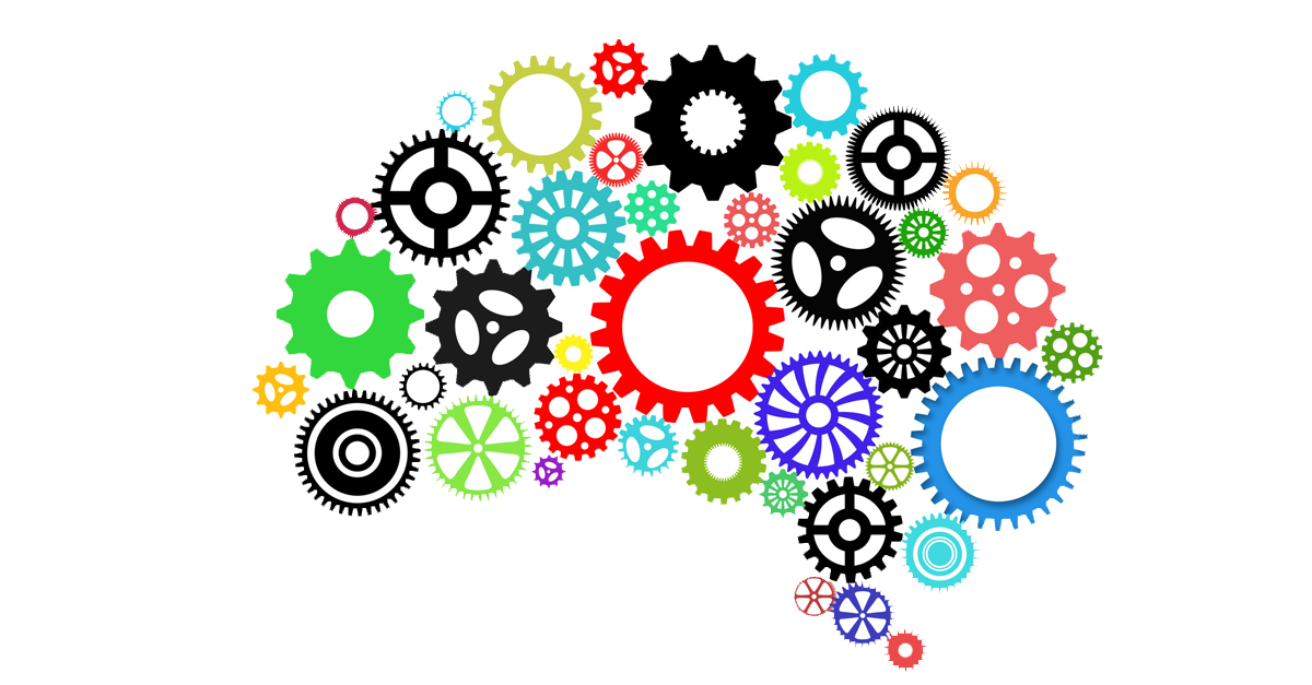 Qué es la FLEXIBILIDAD COGNITIVA y cómo MEJORARLA FÁCILmente 2 que es la flexibilidad cognitiva y como mejorarla facilmente