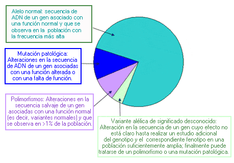 Qué es un ALELO en GENÉTICA Todo lo que Necesitas Saber 2 que es un alelo en genetica todo lo que necesitas saber