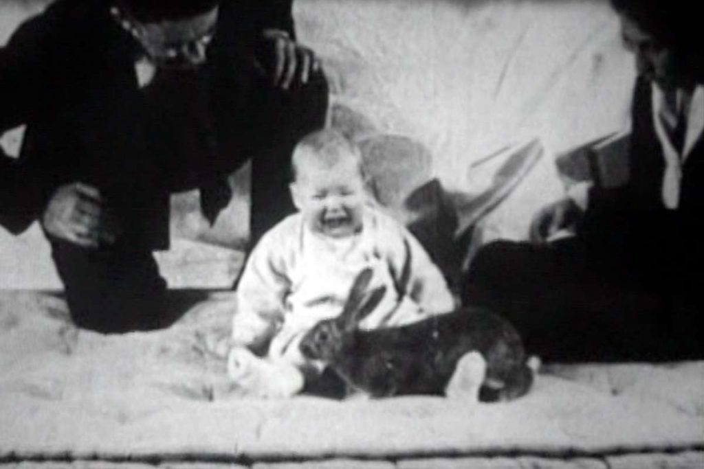 que fue el experimento del pequeno albert descubrelo aqui