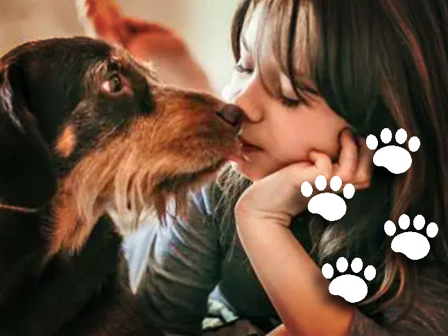 Qué nos BRINDAN los ANIMALES - Lecciones INVALUABLES 2 que nos brindan los animales lecciones invaluables