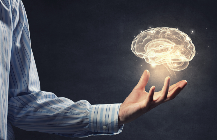 Qué PORCENTAJE del CEREBRO usamos REALMENTE DESCÚBRELO AQUÍ 27 que porcentaje del cerebro usamos realmente descubrelo aqui