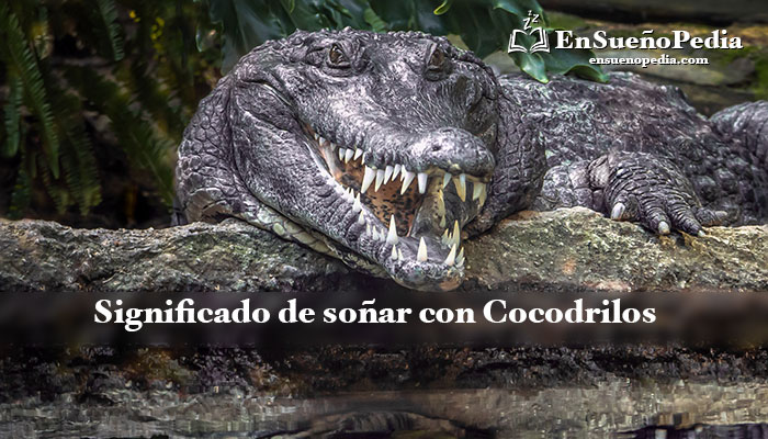 que significa sonar con cocodrilos descubre su valor