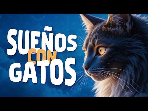 Qué significa SOÑAR CON GATOS - Descubre su SIGNIFICADO REAL 2 que significa sonar con gatos descubre su significado real