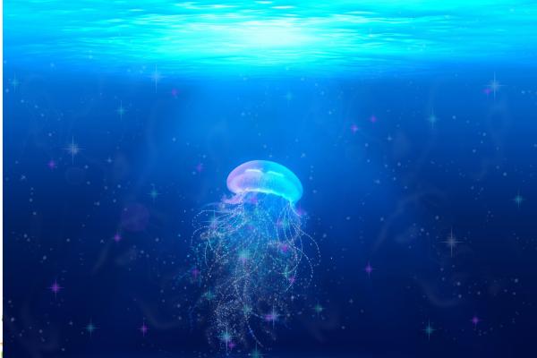 Qué significa SOÑAR CON MEDUSAS - Descubre su SIGNIFICADO 2 que significa sonar con medusas descubre su significado