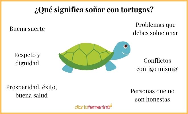 que significa sonar con tortugas descubre su significado