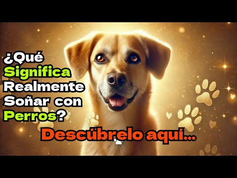 que significa sonar con un perro que te muerde descubrelo