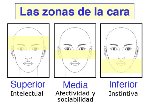 rasgos fisicos de una persona que dicen de tu personalidad