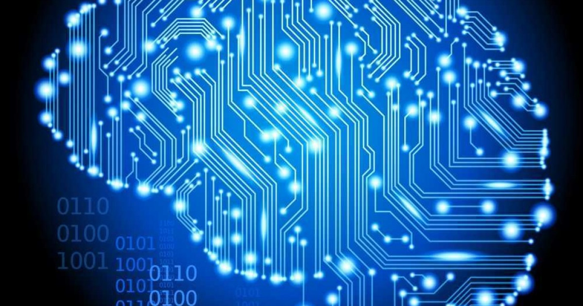Reduccionismo en Psicología: Es el Cerebro la Clave 2 reduccionismo en psicologia es el cerebro la clave