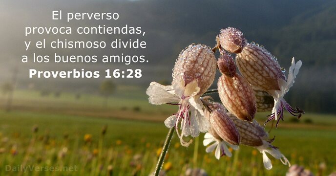 reflexiones sobre chismes frases que revelan verdades