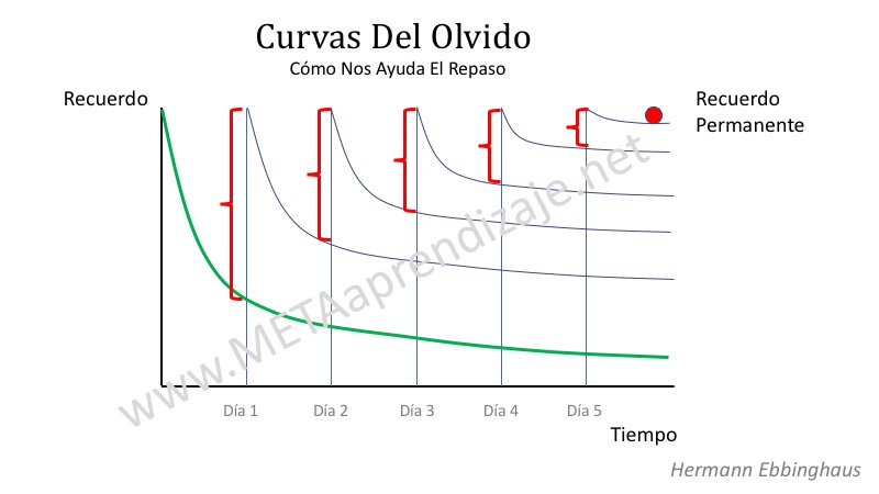 Repetición Espaciada: Técnica EFICAZ para Memorizar FÁCIL 2 repeticion espaciada tecnica eficaz para memorizar facil