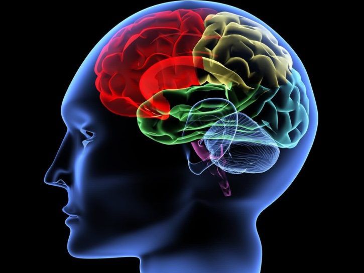 Reprocesamiento Cerebral: Sanación de Trauma Online en Madrid 2 reprocesamiento cerebral sanacion de trauma online en madrid