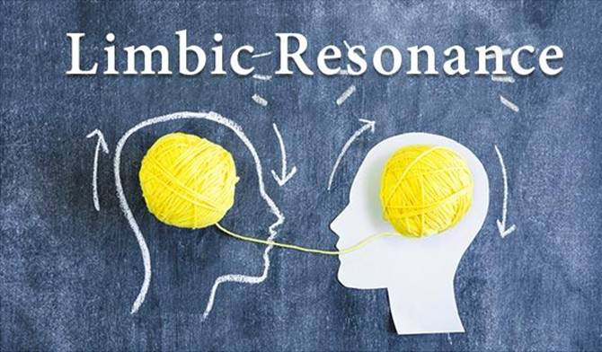 resonancia limbica impacto en relaciones y emociones