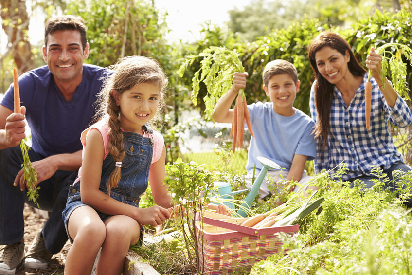 reuniones familiares 5 consejos para el exito total