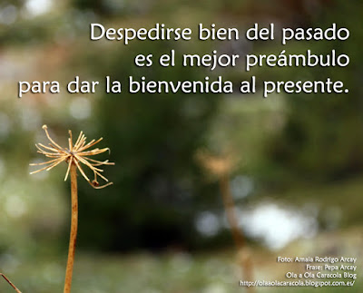 Saber DECIR ADIÓS es CRECER: Descubre el PODER del DESAPEGO 2 saber decir adios es crecer descubre el poder del desapego