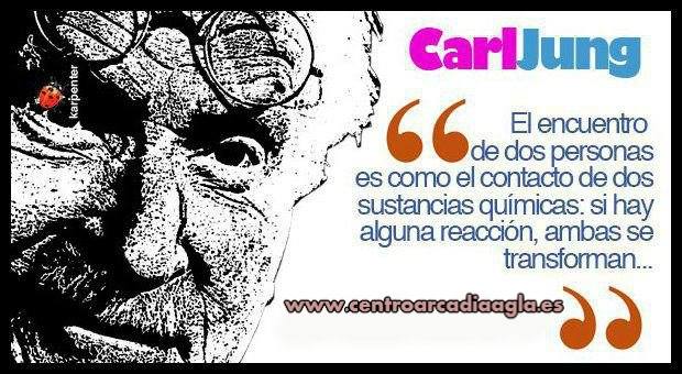 schopenhauer frases las 90 citas que transformaran tu vida