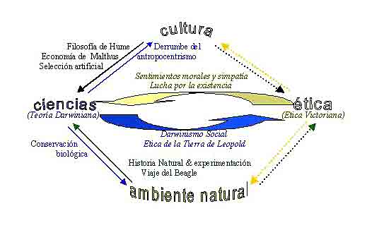 SELECCIÓN ARTIFICIAL: Qué es y Cómo TRANSFORMA la NATURALEZA 2 seleccion artificial que es y como transforma la naturaleza
