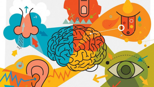 SENSACIÓN y PERCEPCIÓN: 4 DIFERENCIAS CLAVE que DEBES SABER 2 sensacion y percepcion 4 diferencias clave que debes saber
