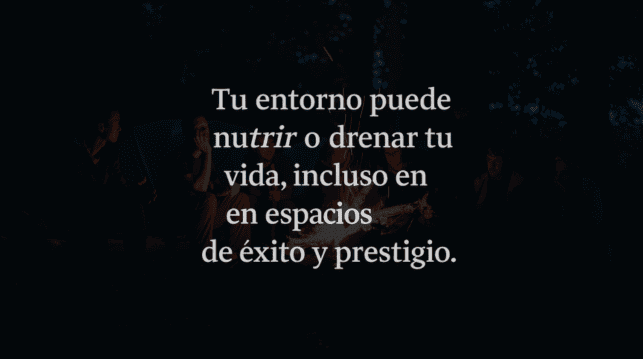Ser SELECTIVO en la VIDA - Descubre su IMPORTANCIA 2 ser selectivo en la vida descubre su importancia