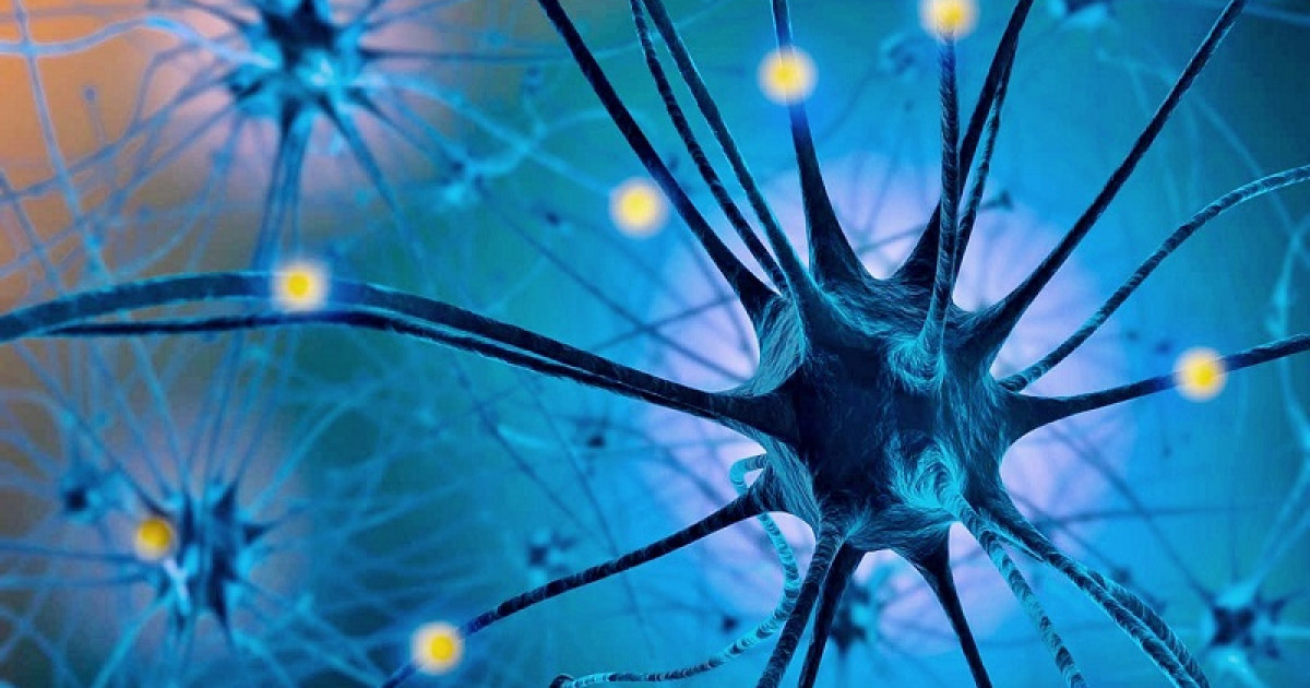 SEROTONINA: 6 EFECTOS en tu CUERPO y MENTE que NO CONOCES 2 serotonina 6 efectos en tu cuerpo y mente que no conoces