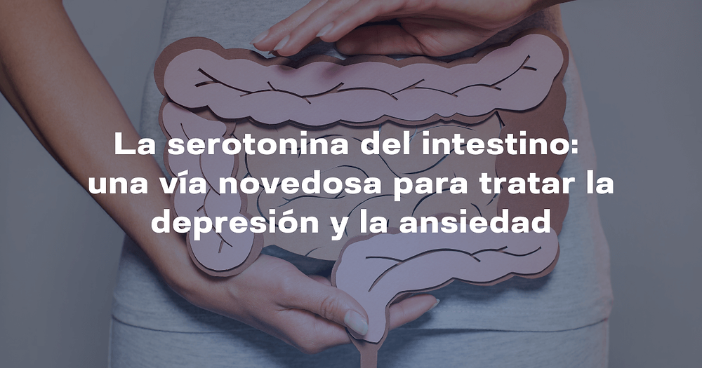 Serotonina y Ansiedad: Síntomas y Soluciones Efectivas 2 serotonina y ansiedad sintomas y soluciones efectivas