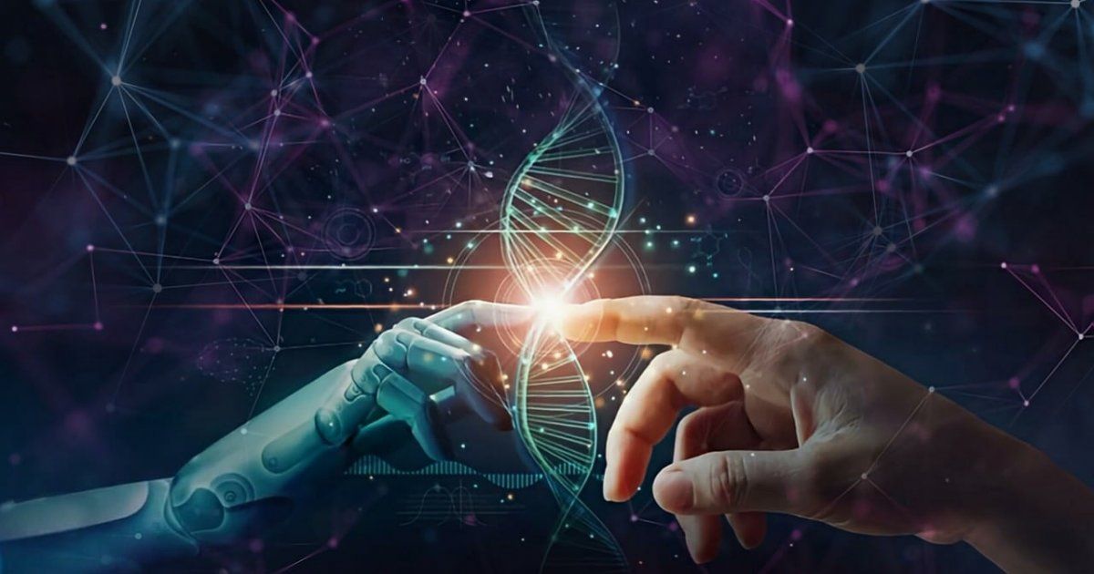 Sin Cerebro: La Sorprendente Historia de Noah que Impacta 2 sin cerebro la sorprendente historia de noah que impacta