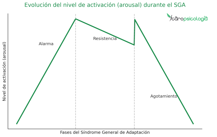 SÍNDROME GENERAL DE ADAPTACIÓN: Cómo el ESTRÉS nos AFFECTA 2 sindrome general de adaptacion como el estres nos affecta