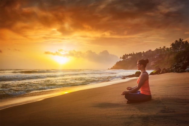 Sobrevivir NO es Suficiente - Vive PLENAMENTE con Terapia 2 sobrevivir no es suficiente vive plenamente con terapia
