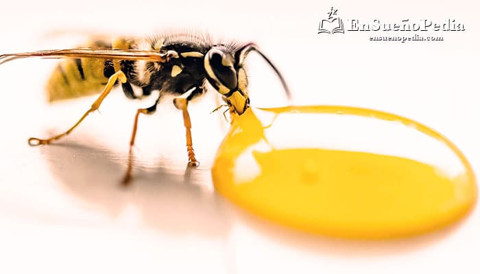 sonar con abejas descubre su inesperado significado