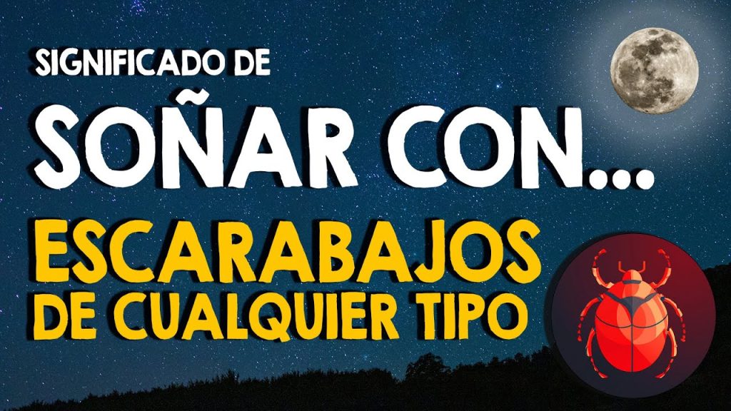 sonar con cucarachas significado revelador y misterioso