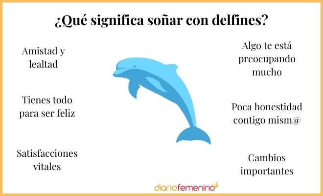 sonar con delfines descubre su significado y embarazos