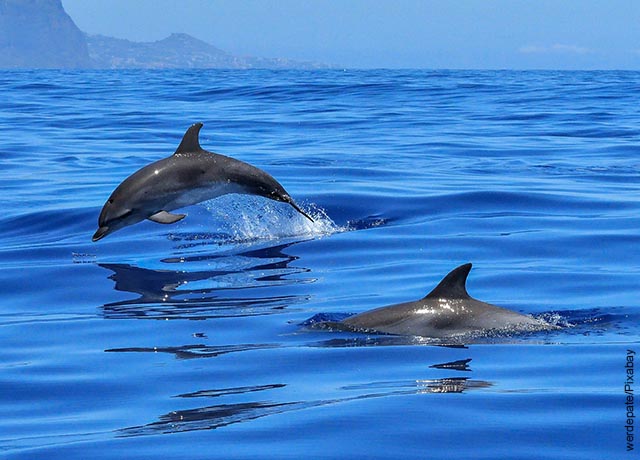 Soñar con el MAR: Significados y REVELACIONES IMPACTANTES 2 sonar con el mar significados y revelaciones impactantes