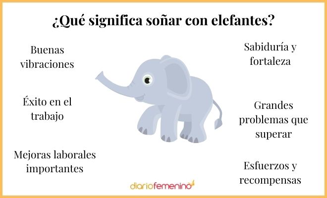 Soñar con Elefantes: Significado y Mensaje Revelador 2 sonar con elefantes significado y mensaje revelador
