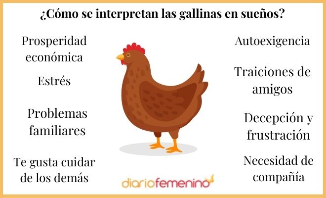Soñar con GALLINAS - Descubre su SIGNIFICADO y SIMBOLOGÍA 2 sonar con gallinas descubre su significado y simbologia