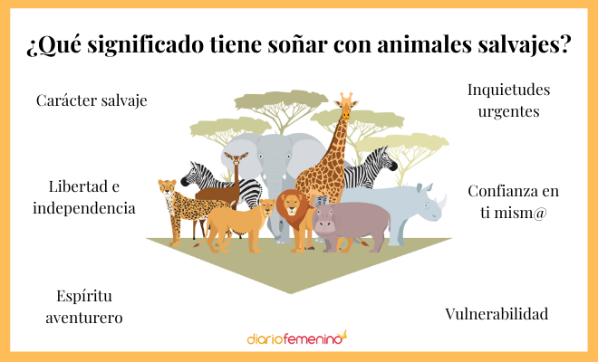 sonar con hormigas descubre su significado revelador