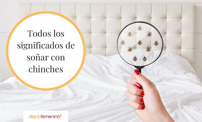 Soñar con MALLETAS - Descubre su SIGNIFICADO y MENSAJE 2 sonar con malletas descubre su significado y mensaje