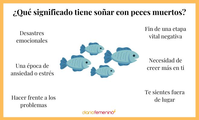 sonar con peces significado y simbolismo revelador