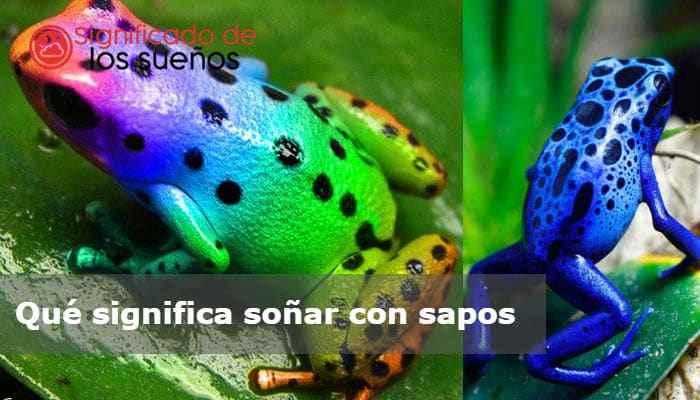 sonar con ranas significado misterioso y revelador