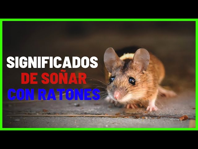 sonar con ratones que significa realmente descubrelo aqui