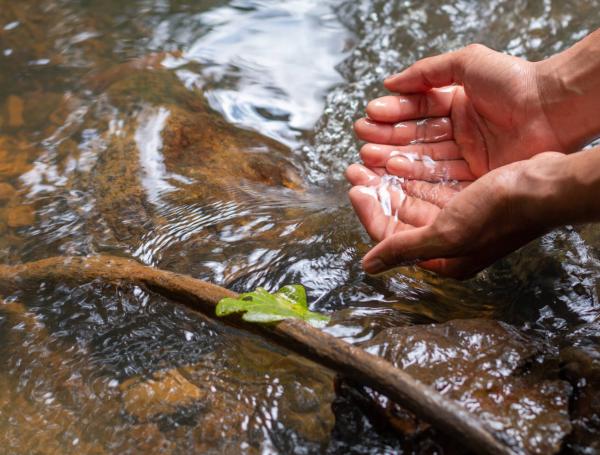 sonar con rio de agua clara que significado oculta