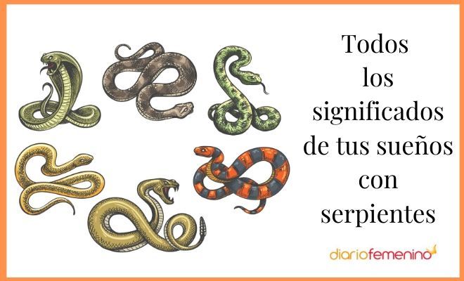 Soñar con SERPIENTES: Descubre su SIGNIFICADO y más 2 sonar con serpientes descubre su significado y mas