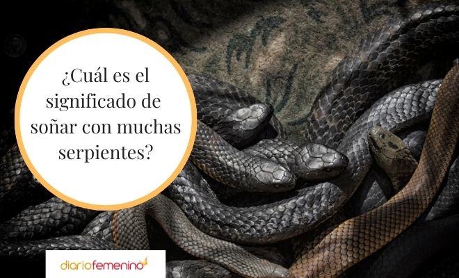 sonar con serpientes que significa y su interpretacion