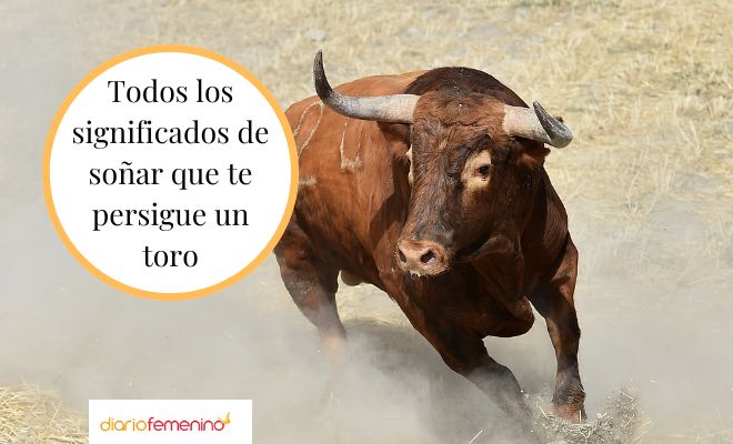 sonar con toros que significa sonar que te persiguen