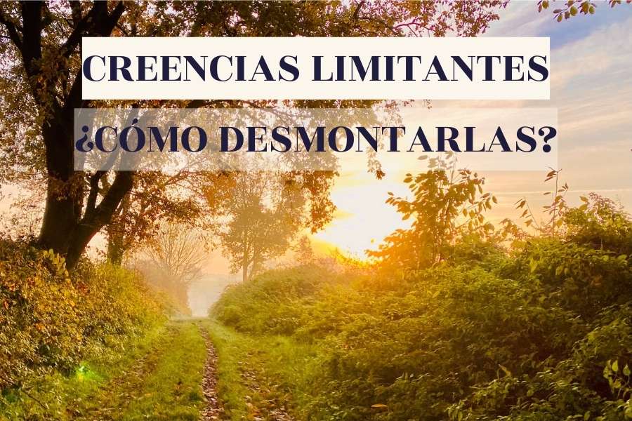 Supera la Desesperanza: Descubre su Significado y Más 2 supera la desesperanza descubre su significado y mas